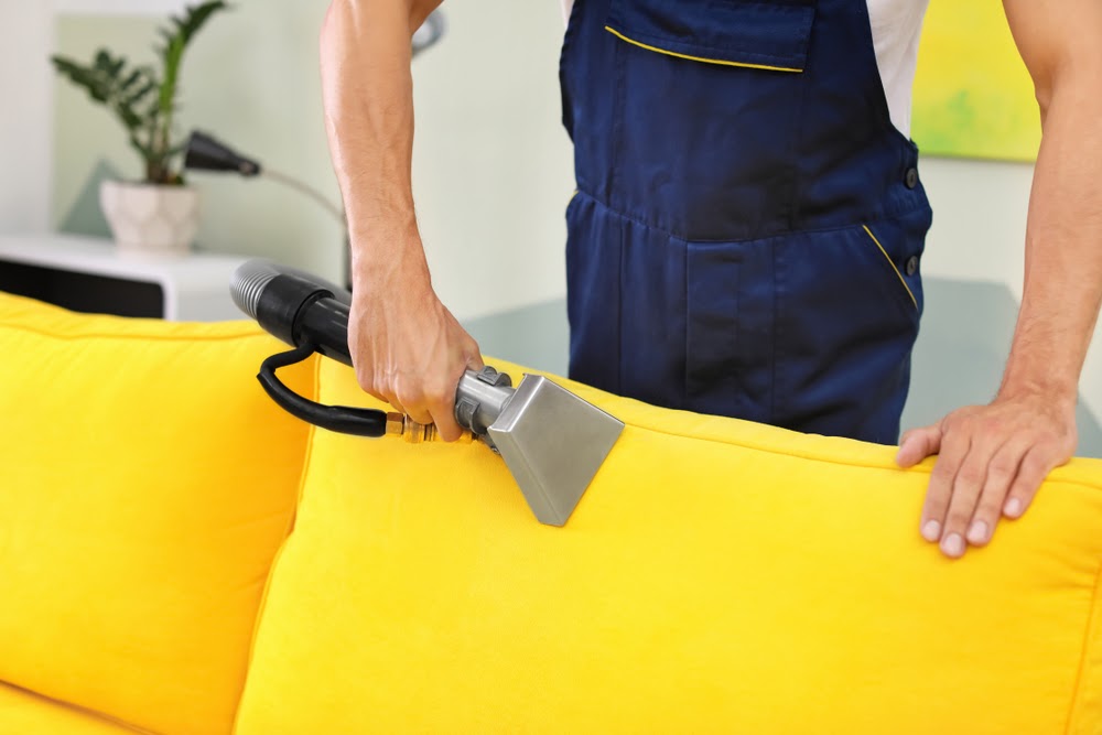 Adams Care Website Why You Should Take A Different Approach In Cleaning Your Upholstery