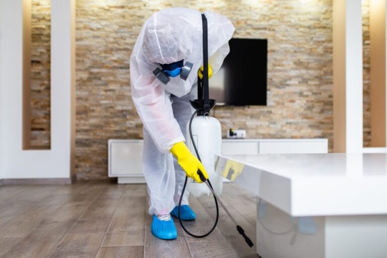 Adams Care Website Safety Rules: 5 Reasons Why A Professional Disinfection Is Required In Your Home