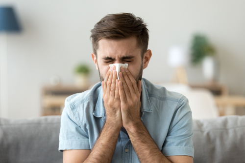 Adams Care Website How Dust Affects Those With Overactive Immune System?