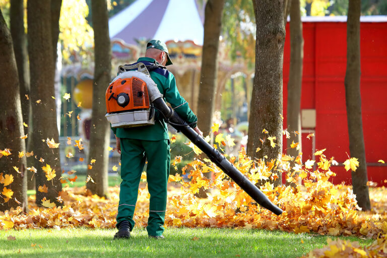 Adams Care Website Why Your Yard Needs A Seasonal Fall Cleanup