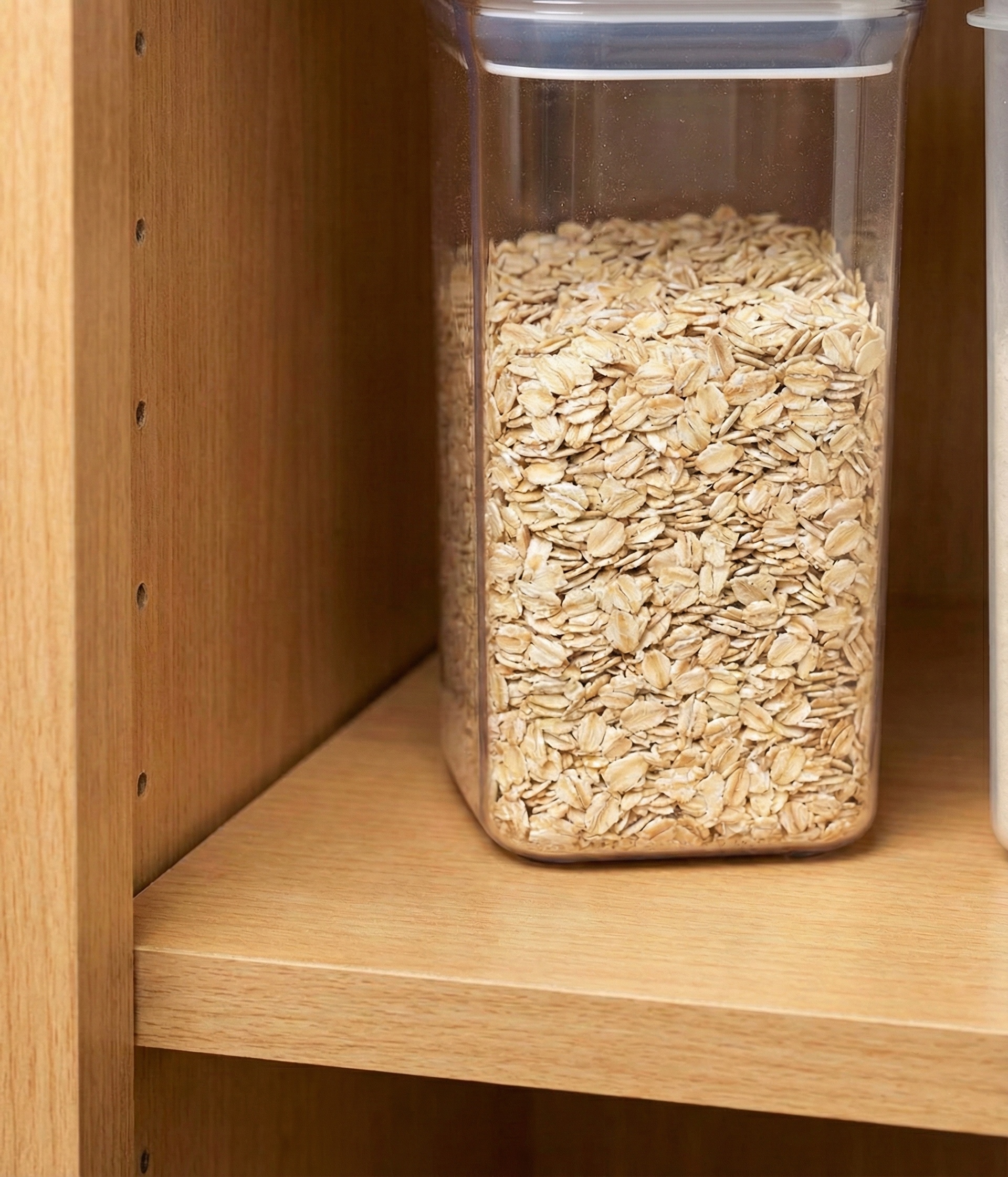 Cleaned and sanitized pantry shelf after professional pest removal and deep cleaning.