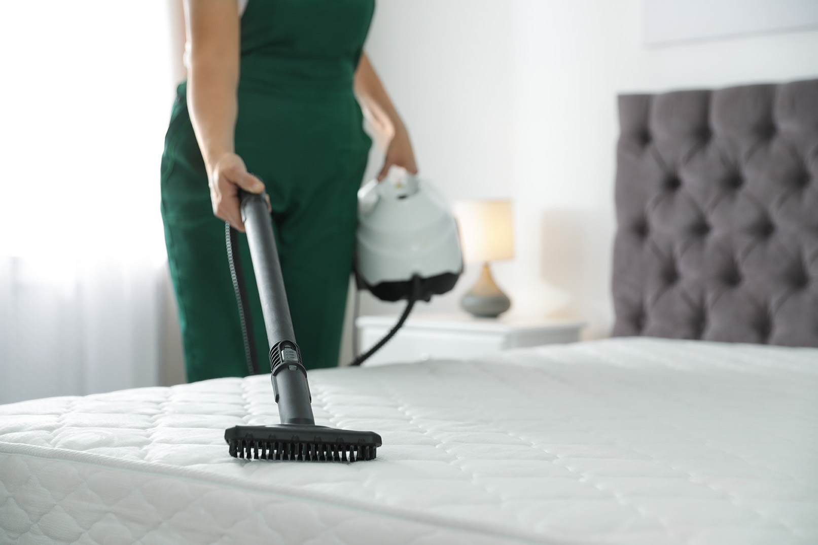Adams Care Website What To Consider Before Booking A Professional Mattress Cleaning Service
