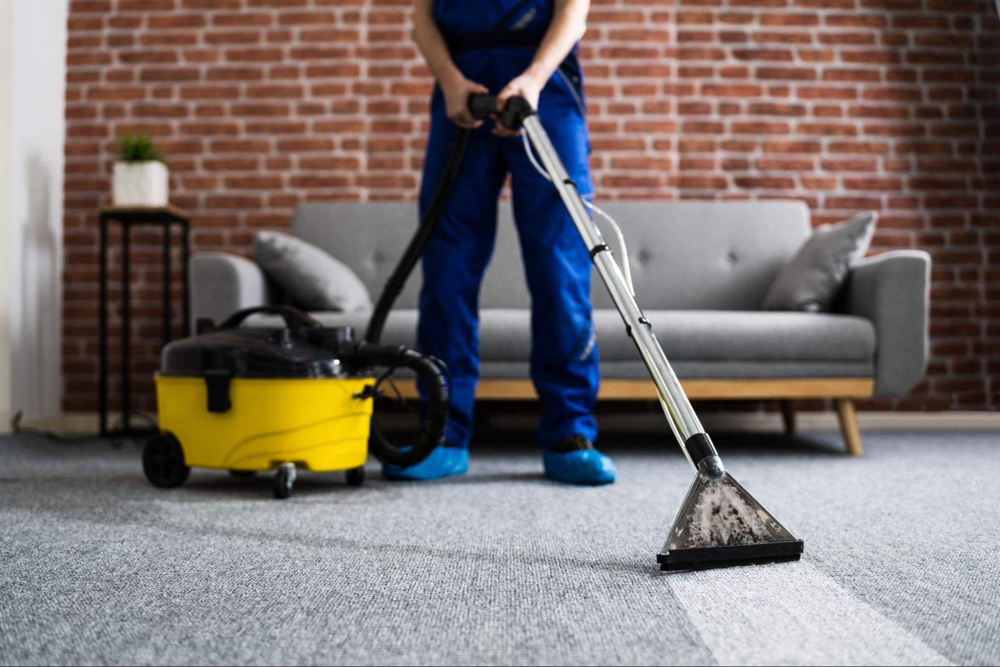 Adams Care Website Here’s How to Clean Your Carpet at Home