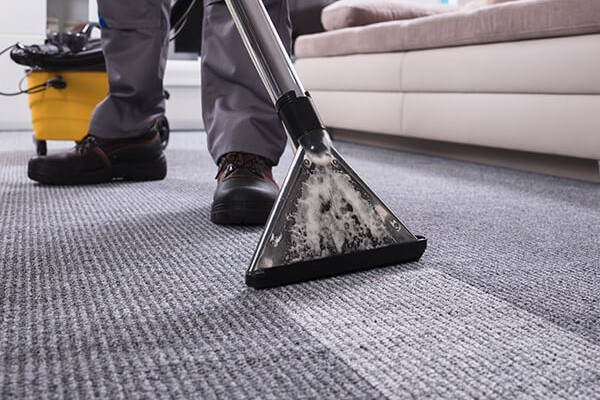 Adams Care Website 8 Reasons Why You Should Prioritise Professional Carpet Cleaning Services