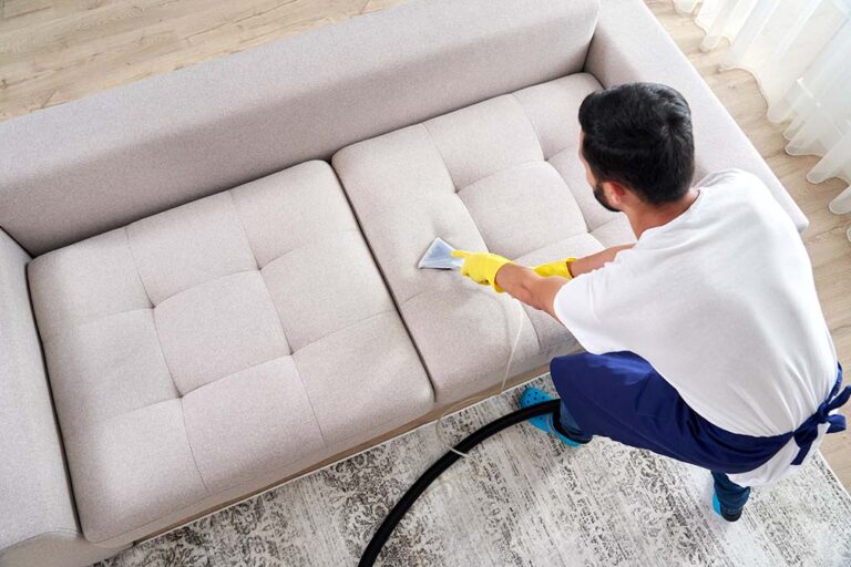 Adams Care Website How to Clean a Fabric Sofa: Here’s a Guide