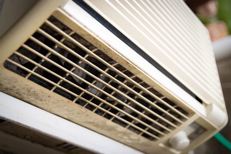 Adams Care Website What is Mold in AC?