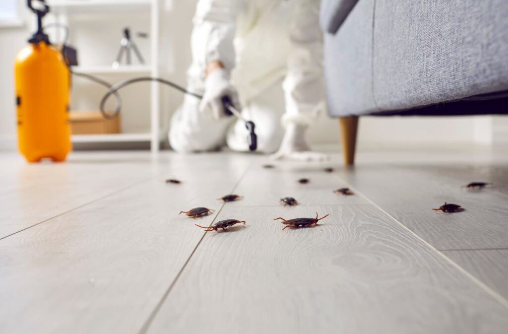 A professional exterminator applying pest control treatment to effectively address cockroach infestations, ensuring safety for both family members and pets.