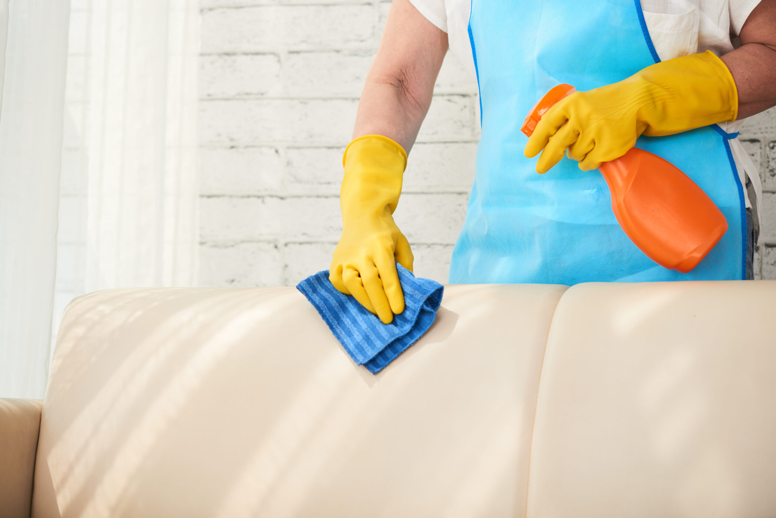 Adams Care Website A Pet Owner’s Guide to Cleaning Couches at Home: How to Remove Fur and Messes
